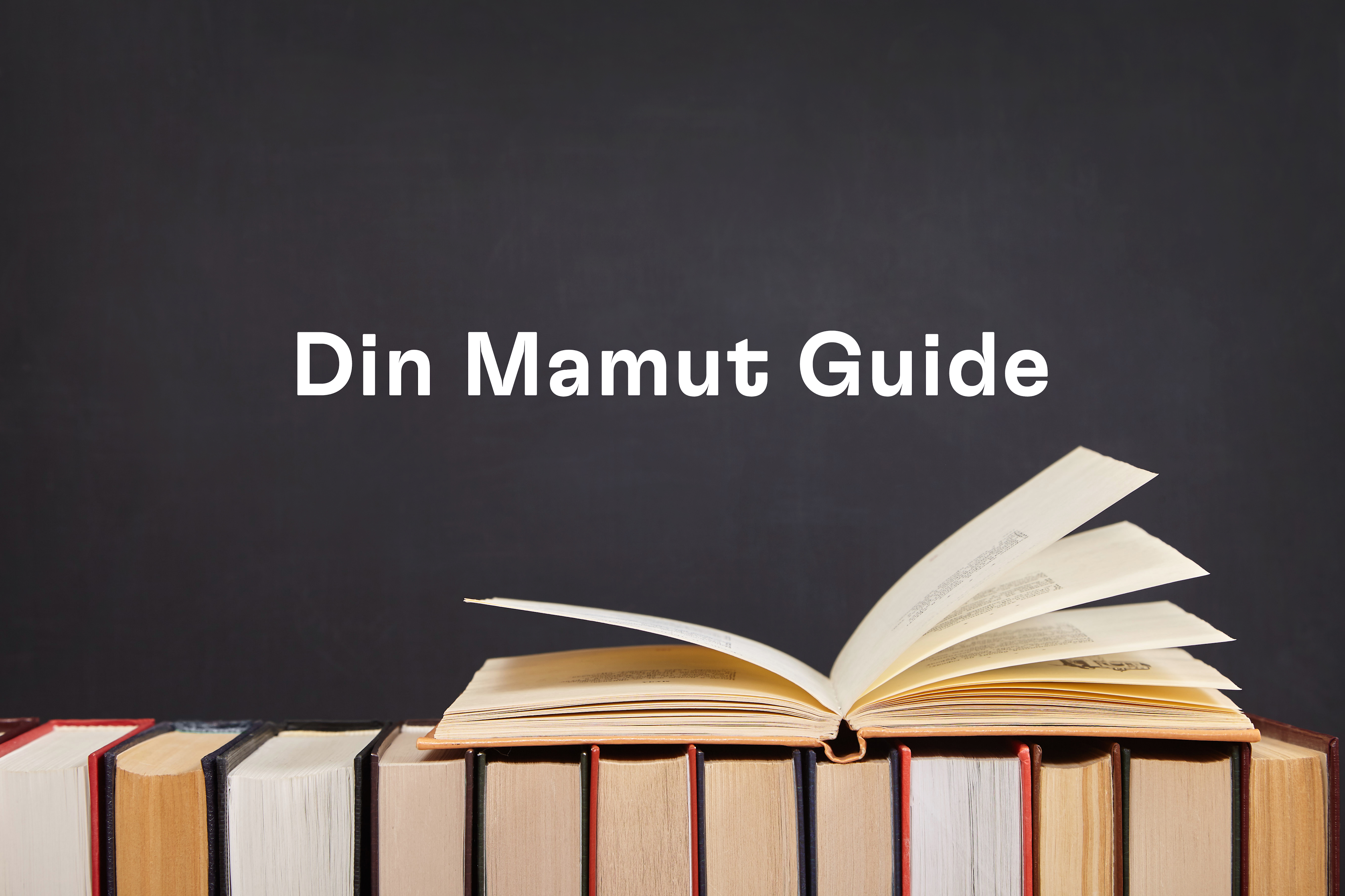 Mamut Guide